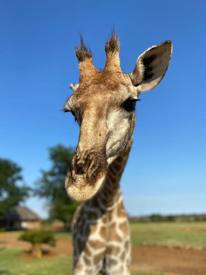 Morakane Safari Lodge Vryburg Dış mekan fotoğraf